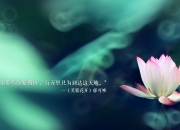 开云足球直播-塞内加尔的战鼓，本泽马的星空，当草根逆袭照亮巨星法则