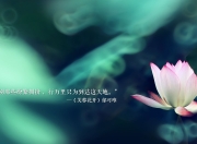 开云足球直播-塞内加尔的战鼓，本泽马的星空，当草根逆袭照亮巨星法则