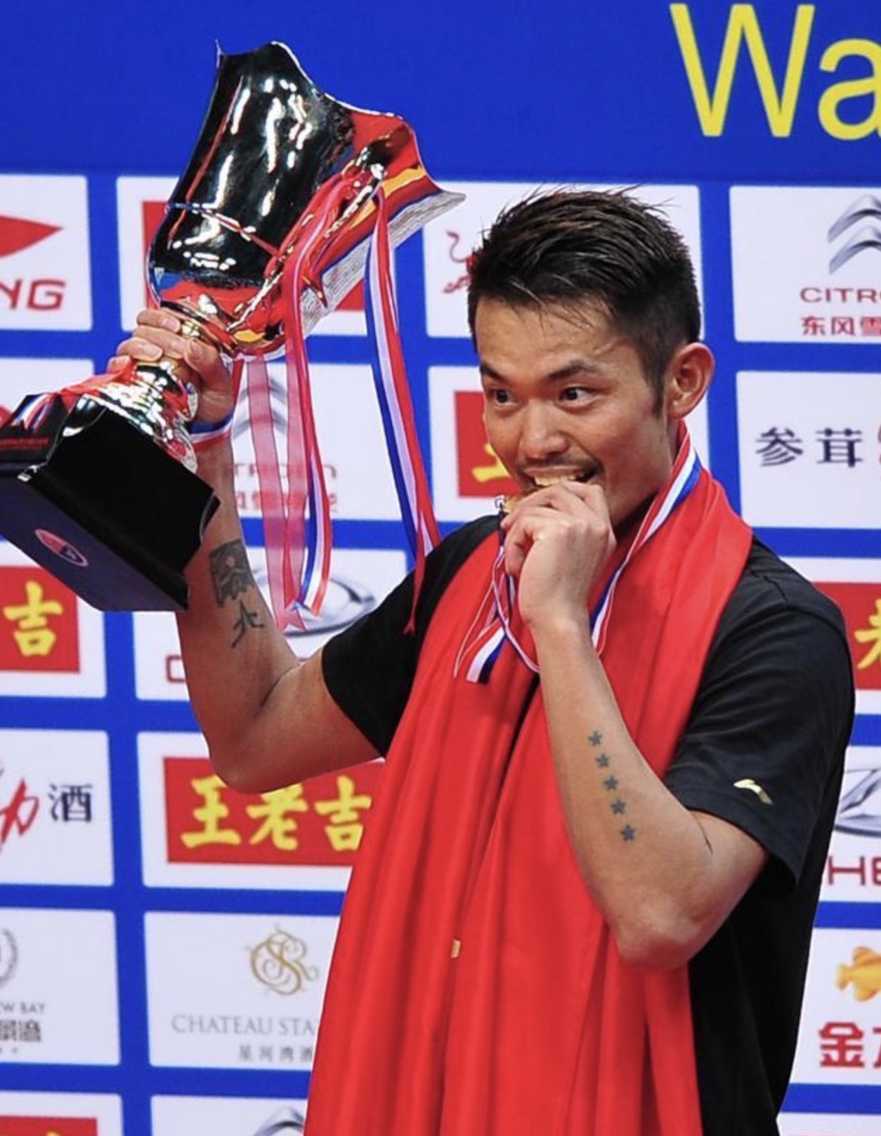 马来西亚羽毛球队逆转法国羽毛球队，林丹高光表现的简单介绍