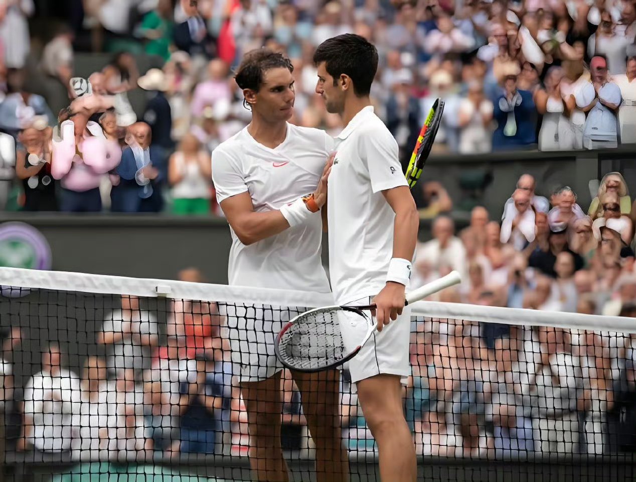 包含西班牙网球队险胜意大利网球队，德约科维奇爆发神勇的词条