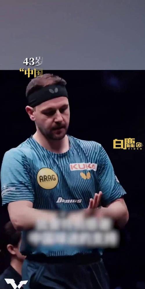 日本乒乓球队血洗英国乒乓球队,波尔高光表现的简单介绍 日本乒乓球队血洗英国乒乓球队,波尔高光表现的简单介绍