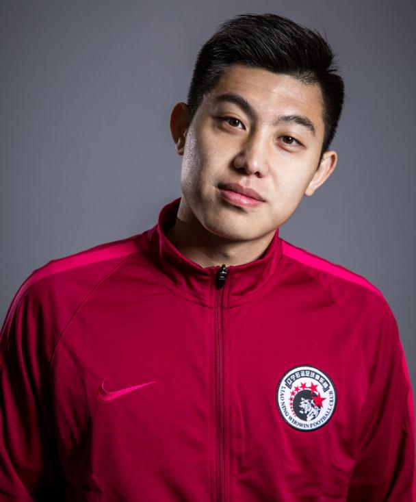 奥地利乒乓球队绝地反击英国乒乓球队，王皓绝境逆转的简单介绍