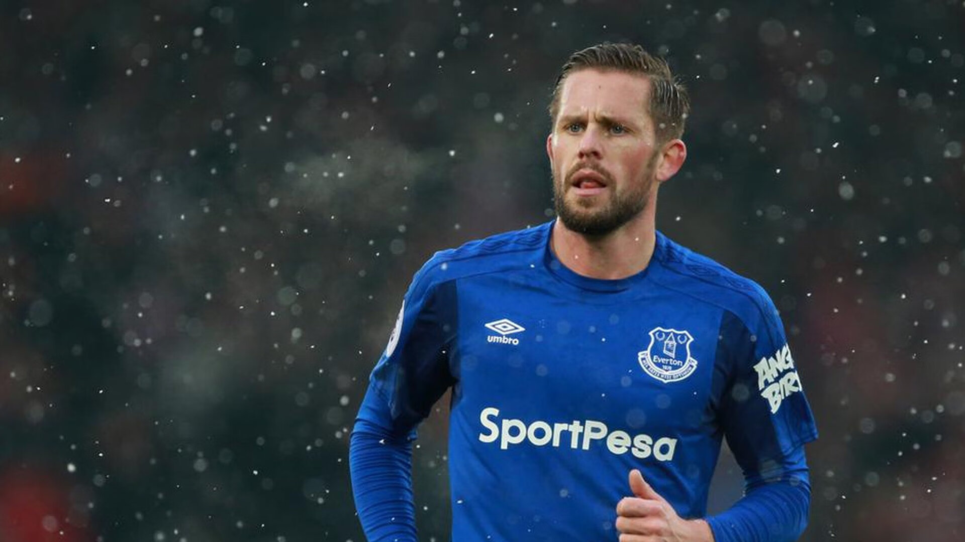 F1年度争冠焦点战与厄瓜多尔踏平塞内加尔,速度与激情的双重奏